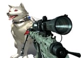 TOTAL DOGGY DEATH, CAT ARE BETTER!!!!!!