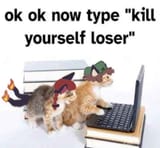 now type kill yourself loser