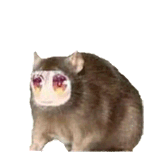1732122921108166