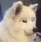 1740351789623864