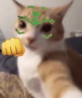 1709205678971