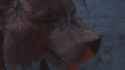 1710160539015288_thumb.jpg