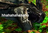 nig-rex