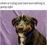 1727651012115498