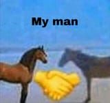 my_man_horses