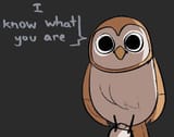 I know what you are