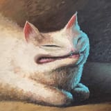 sleeenk