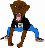 BLM_monkey_raging