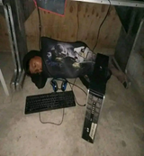 gn