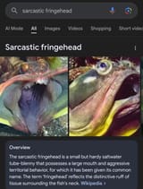 Piklopedia