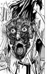 mfw skin
