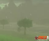 400px-BreathoftheWildRain