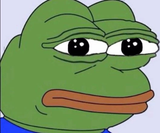 Amphibian staring at the viewer