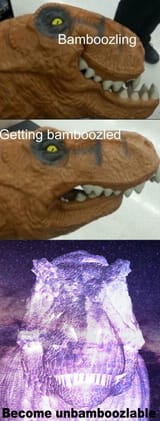 become unbamboozlable