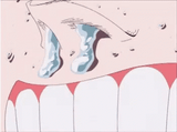 enel