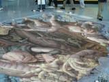 e3-2006-finished-3d-floor-art_4689659359_o