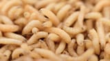 istock-960160676