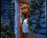 bear takes out the trash