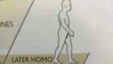 5465578283322