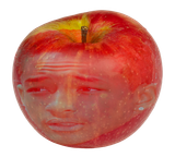 1721206061720436