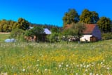 wies-4256094111