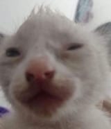 1725030127466155