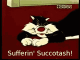 sufferin-succotash-sylvester