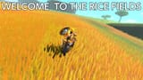 ricefields