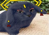 Goumang irl