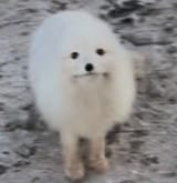 1728340015631695