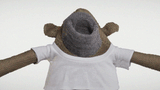 monkey