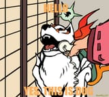 yes,this is dog