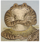 Yokai Toad