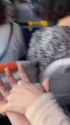 40173_thumb.jpg