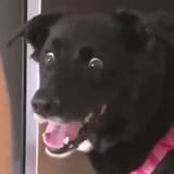 1579451719664