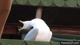 1731911977469573
