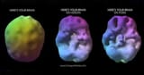 pornbrain