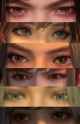 Eyes_thumb.jpg