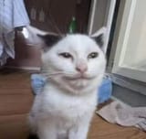 456487