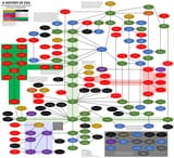Virus Chart 10