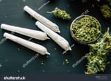 joint