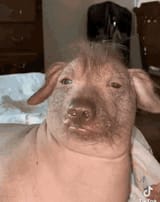 1708043097610