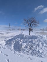 PXL_20250214_160832815
