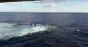 2016-12-02.su33-crash-admiral-kuznetsov.no-audio[sound=files.catbox.moe%2F5j69yw.mp3]_thumb.jpg