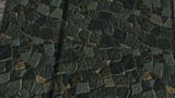 Morrowind 2025-05-08 21.23.28.370