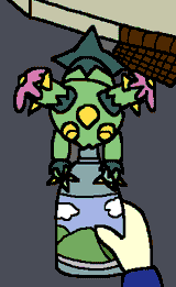 maractus owned