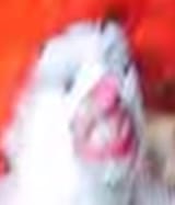 FUCK FUCK