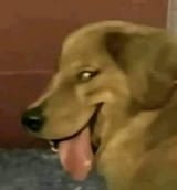 1749774342632391