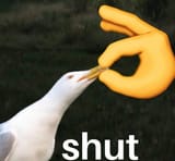 1732749429597873