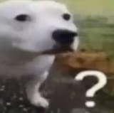837149274